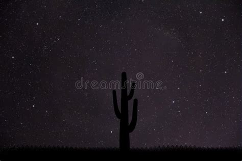 Silhouette of a Cactus in the Desert Stock Image - Image of autumn ...