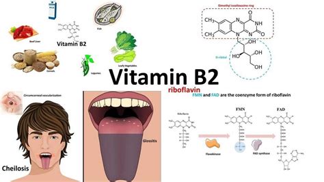 Signs And Symptoms Of A Vitamin B2 (Riboflavin) Deficiency, 57% OFF