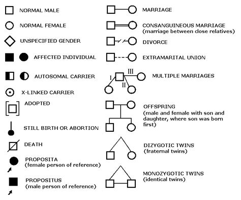 Pedigree Diagram Symbols