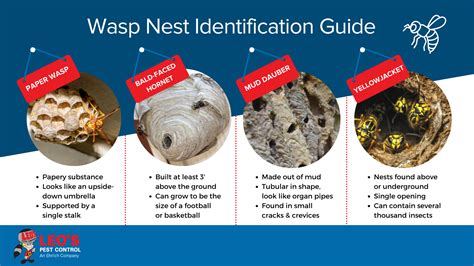 Bee, Wasp & Hornet Nest Removal | Safe Wasp Nest Removal Services