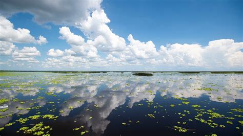 Lake Okeechobee, Florida's largest freshwater lake, sits at 13.5 feet ...