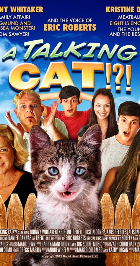 A Talking Cat!?! (2013) - IMDb