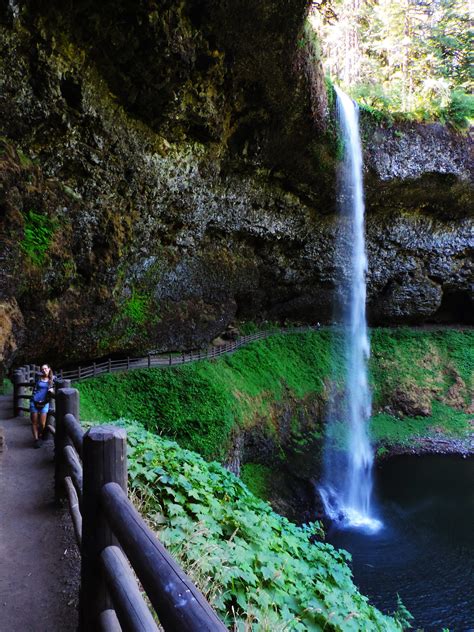 Waterfall Wonderland In Silver Falls State Park, Oregon – Our Wanders