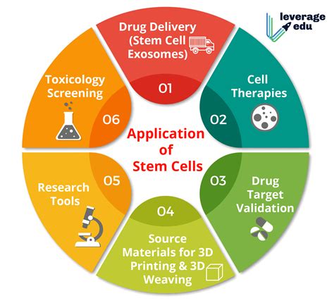 Applications of Stem Cells-01 - Leverage Edu