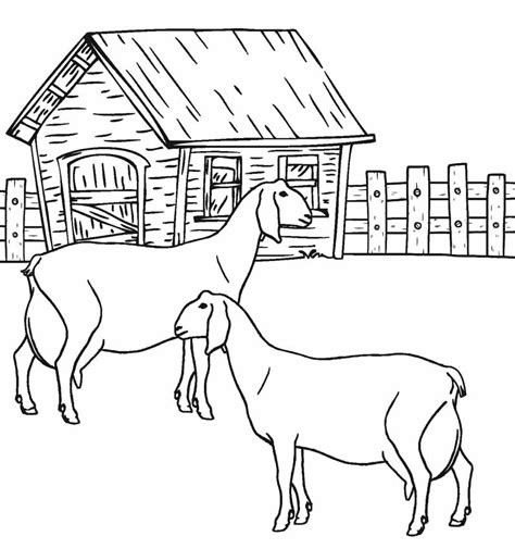 Animal Coloring Pages - Best Coloring Pages For Kids