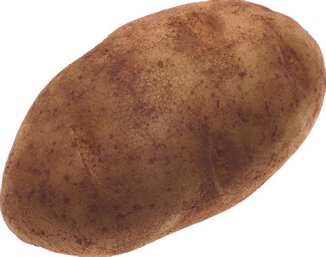 Collection of HQ Potato PNG. | PlusPNG