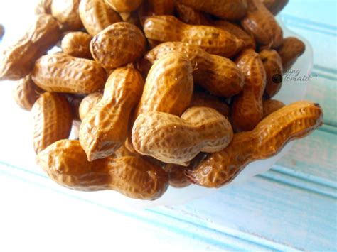 Boiled Peanuts Recipe - Slow Cooked - HealingTomato.com