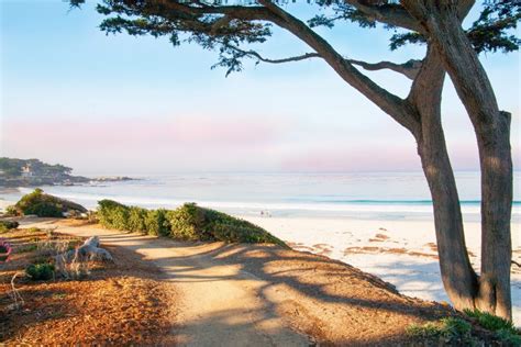 Carmel City Beach in Carmel, CA - California Beaches