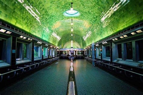 Detroit Is Home To The Oldest Aquarium In The Country & It's A Little ...