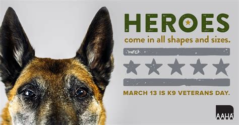 March 13th is National K9 Veterans Day! Join us in saluting our ...