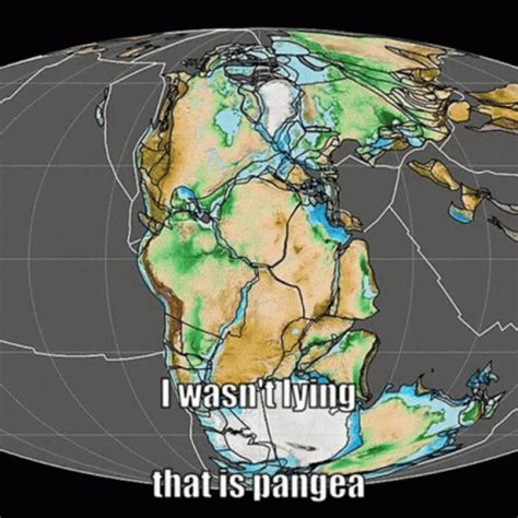 Pangea Syrup GIF - Pangea Syrup - Discover & Share GIFs