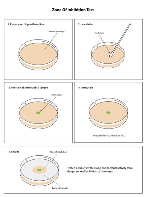 Zone of Inhibition Test - Microbe Investigations