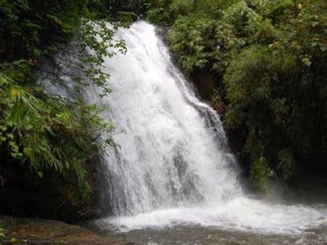 Talakaveri Wildlife Sanctuary - in Karnataka, India | Flora and Fauna ...