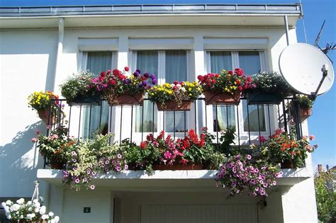 How to Create a Beautiful Flower Garden in the Balcony