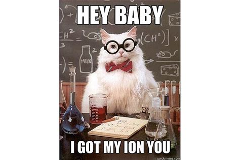 Best of Chemistry Cat, the Science Meme