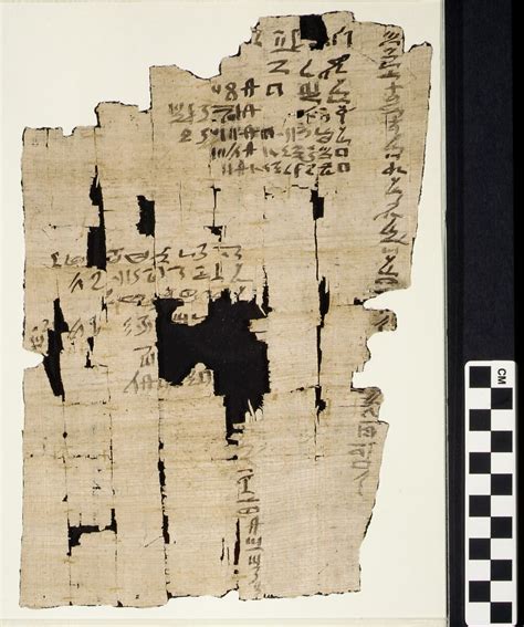 Papyrus in Ancient Egypt | Essay | The Metropolitan Museum of Art ...