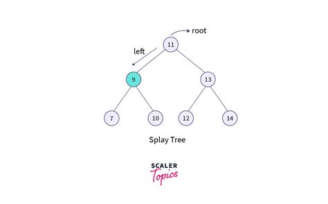 Splay Tree - Scaler Blog