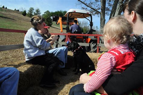 the Hay Ride at Beavers Christmas Tree Farm- North of Birmingham, Al