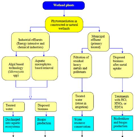 Model developed for treatment of industrial effluents, municipal ...