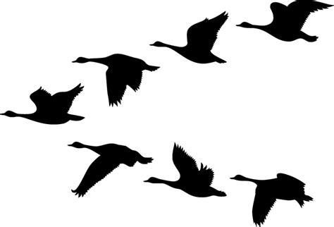 Silhouette Of Geese Flying at GetDrawings | Free download