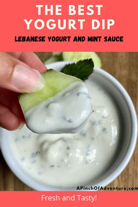 Mint Yogurt Sauce - Lebanese Yogurt Dip