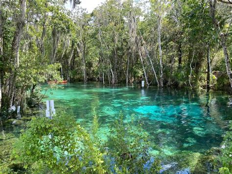 Three Sisters Springs (Crystal River) - All You Need to Know BEFORE You ...