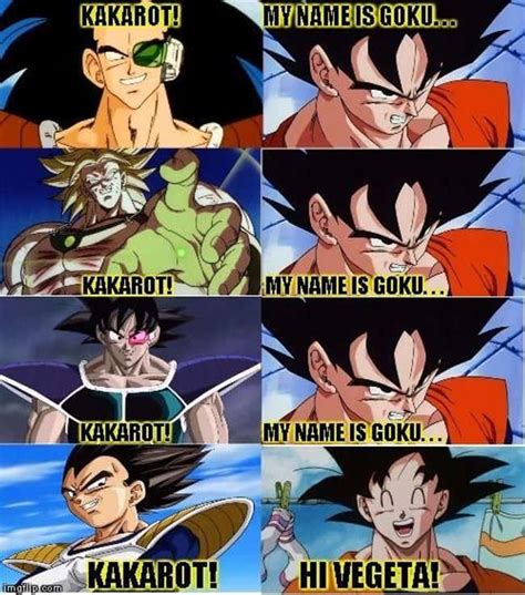 20 Hilarious Memes About Goku And Vegeta's Relationship