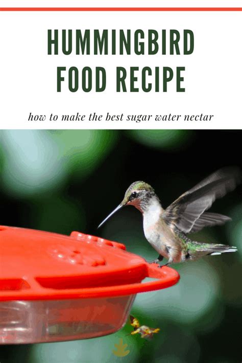 Hummingbird Food Recipe Printable, Mix sugar and boiling water until ...