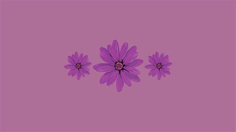 20 Cute Purple Aesthetic Wallpaper Desktop (FREE) - Nikki's Plate