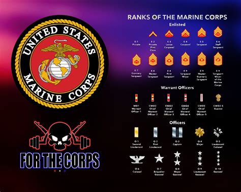 Ranks in the Marines | Enlisted and Officers Ranks Described! - For The ...