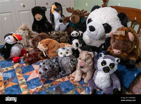 Portrait of a group of stuffed animals on a bed Stock Photo - Alamy