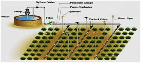 11: Layout of Sprinkler Irrigation System 320 | Download Scientific Diagram