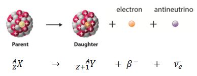 Conservation Laws in Beta Decay | nuclear-power.com