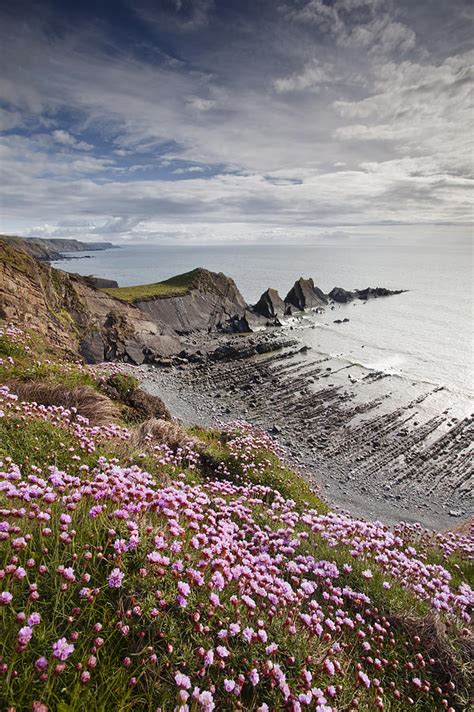 Hartland Quay On The North Devon Coastline Photograph by Julian Elliott ...