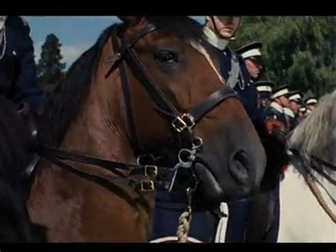 ‘War Horse’ Movie Trailer – If You Love Horses Watch This [Video]