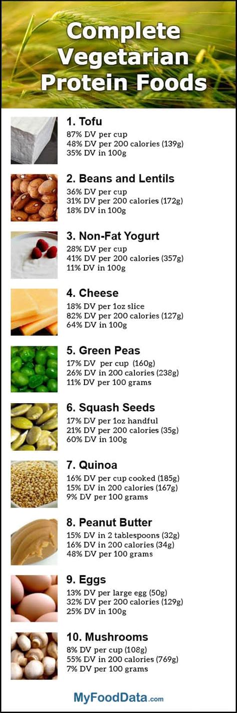 Vegan diet meal with essential amino acids – Education