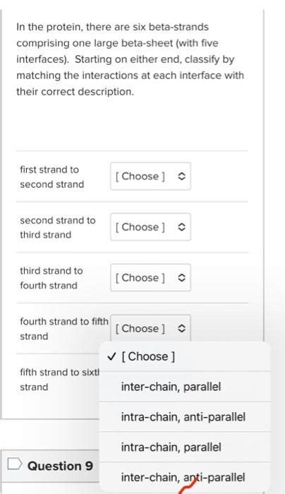 Solved In the protein, there are six beta-strands comprising | Chegg.com