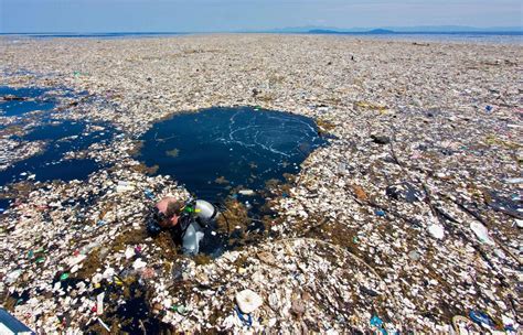 Horrifying images show devastating impact of plastic pollution as ...