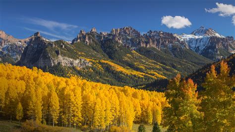 Aspen Colorado Fall Colors 2024 - Seana Courtney