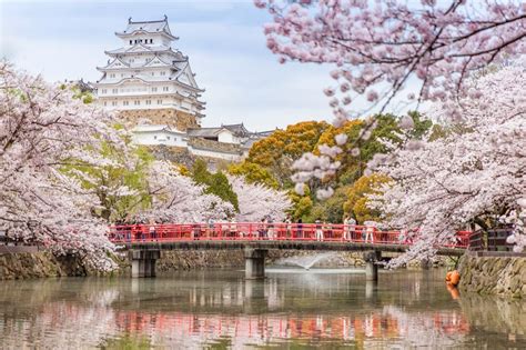 The Best Places to See Cherry Blossoms in Japan - Ez Pass