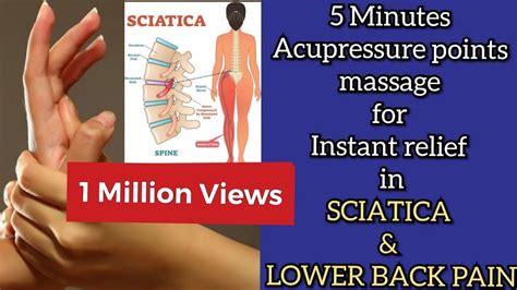 5 Minutes Acupressure point massage to relieve Sciatica and Lower Back ...