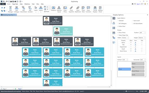 Top 5 Organizational Chart Program 2017 | Org Charting