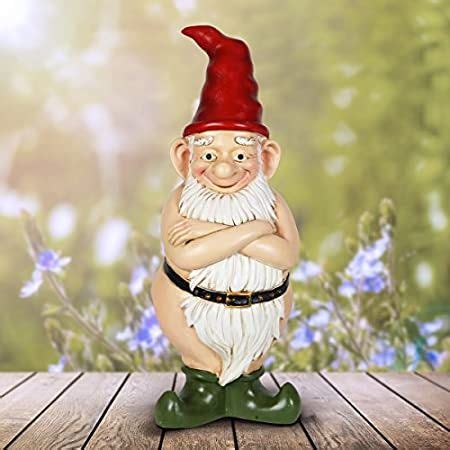 8 Best Funny garden gnomes images in 2020 | Funny garden gnomes, Gnomes ...