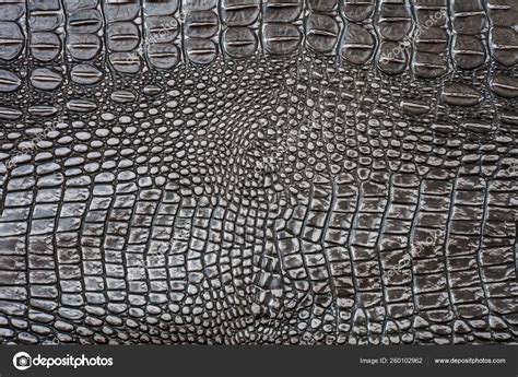 Seamless Natural Crocodile Skin Texture Stock Photo by ©YAYImages 260102962