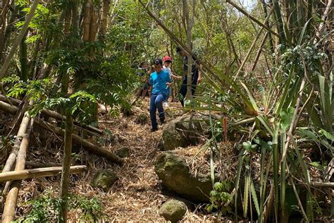 2023 Mount Healthy National Park Private Hike Tour in Tortola