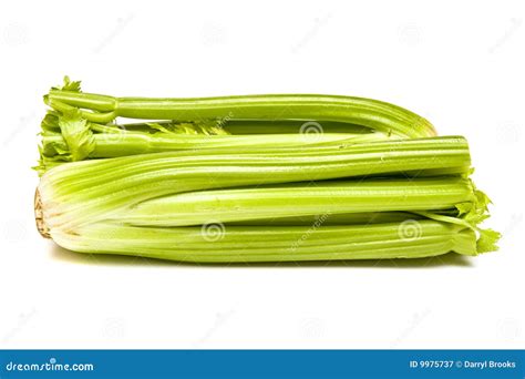 Celery Stalks Royalty Free Stock Photography - Image: 9975737