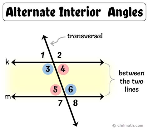 Alternate Interior Angles Proof Examples | Two Birds Home