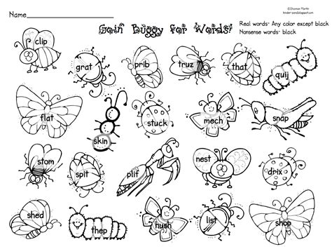 insect body parts for kids - Google Search Spider Coloring Page ...