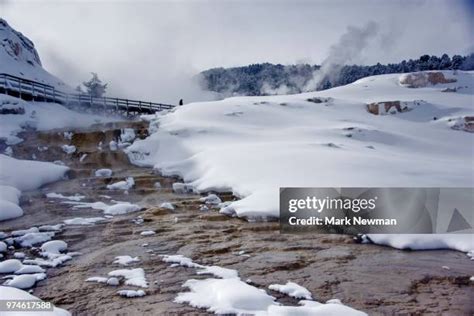 270 Mammoth Hot Springs Winter Stock Photos, High-Res Pictures, and ...