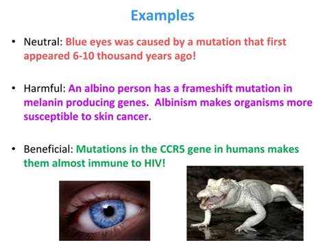 PPT - Mutations PowerPoint Presentation, free download - ID:1158900